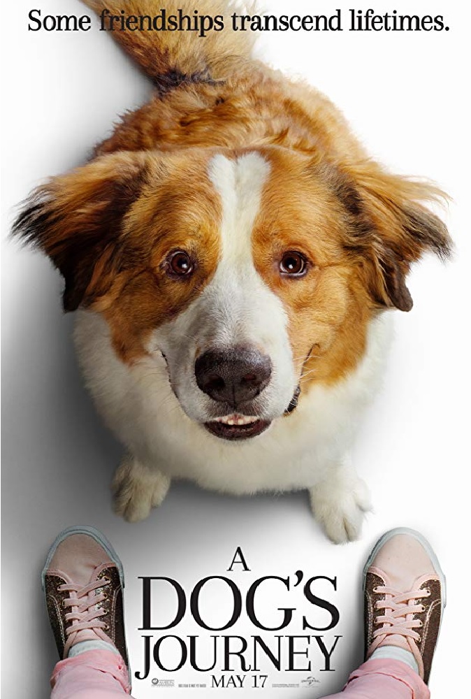 A Dog’s Journey